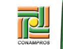 INICIO